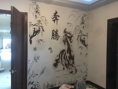 专业硅藻泥施工